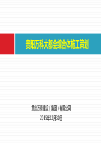 大都会综合体投标策划方案