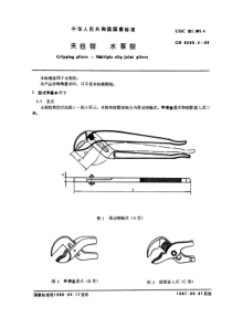 QB T 3851.4-1999(GB T 6293.4-1986) 夹扭钳 水泵钳