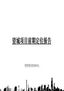 长沙望城奥特莱斯别墅项目前期定位报告_91PPT