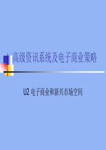 高级资讯系统及电子商业策略