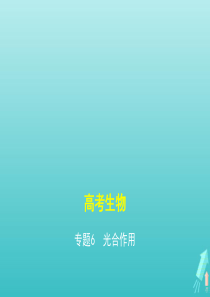 课标专用5年高考3年模拟A版2021高考生物专题6光合作用课件