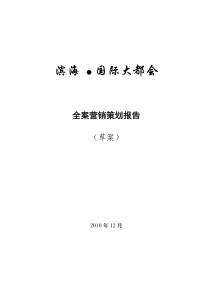 长流起步区城市综合体项目营销全案(对外)