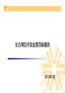 长白项目开发运营目标报告