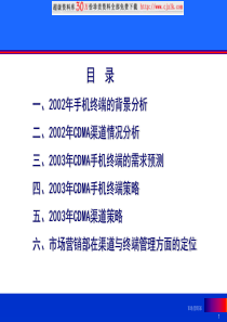 【精品文档】中国联通CDMA业务终端与渠道策略