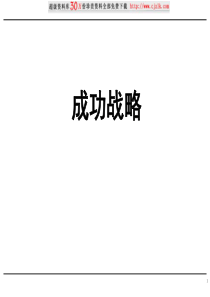 【精品文档】成功战略