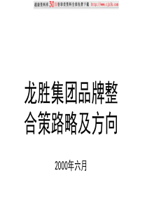 【精品文档】龙胜集团品牌整合策略