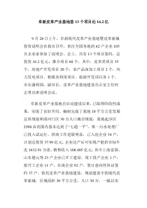 阜新皮革产业基地签13个项目近16