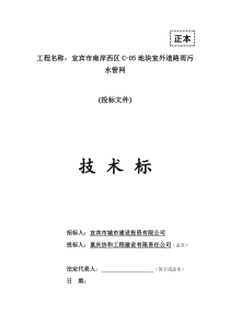 宜宾市南岸西区C-05室外道路雨污水管网工程技术标书