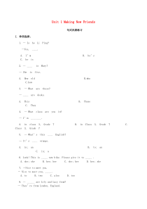 七年级英语上册 Unit 1 Making New Friends句式巩固练习 （新版）仁爱版