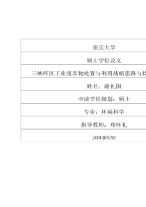 三峡库区工业废弃物处置与利用战略思路与技术途径研究