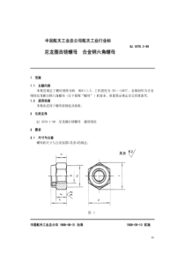 QJ 3078.3-1998 尼龙圈自锁螺母 合金钢六角螺母