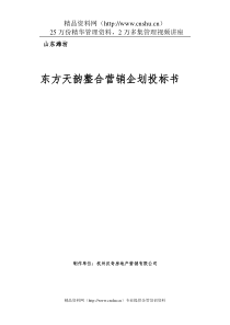 山东潍坊-东方天韵整合营销企划投标书