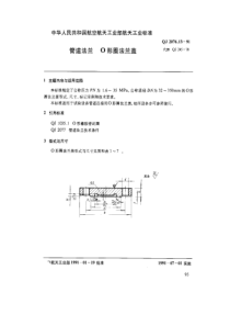 QJ 2076.13-1991 管道法兰 O形圈法兰盖