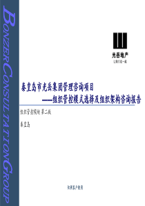 集团管理咨询项目__组织管控模式选择及组织架构咨