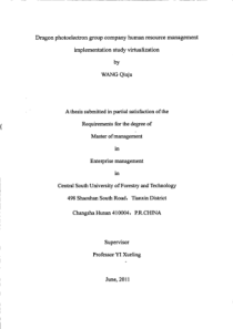 龙光电子集团公司人力资源虚拟化管理实施研究
