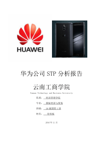 华为公司STP分析报告