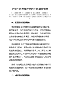 不同融资策略