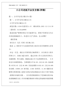 小公司老板开会发言稿(样稿)