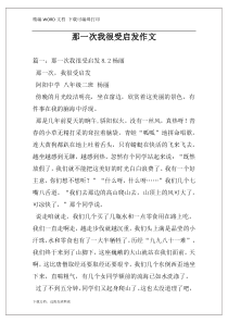 那一次我很受启发作文