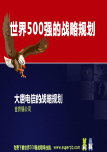 世界500强的战略规划 麦肯锡—大唐电信战略规划