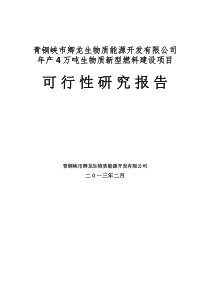 青铜峡市卿龙公司4万吨秸秆综合利用项目可研