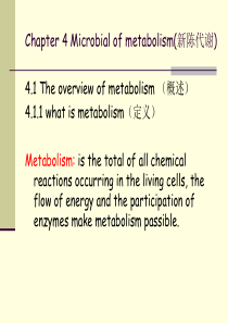 第四章-微生物新陈代谢