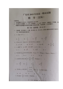 四川省广安市2018-2019学年高一数学下学期期末考试试题 文（扫描版）