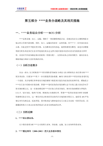 业务分战略及其相关措施(1)