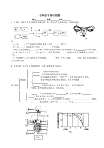 七年级下生物识图题