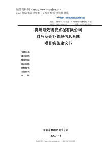 顶效瑞安项目实施计划