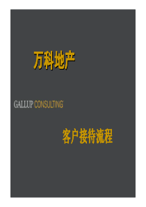 万科地产客户接待流程_销售标准流程（PDF50页）