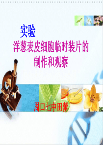 洋葱表皮细胞的制作和观察