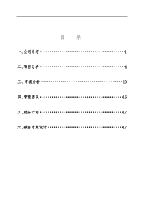 某房地产企业融资计划书DOC