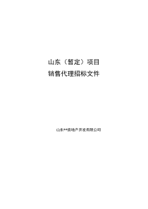 房地产项目销售代理招标文件