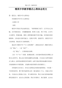 精英中学教学模式心得体会范文