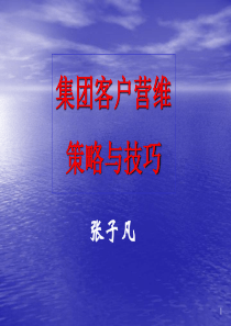 中国移动集团客户营维策略与技巧