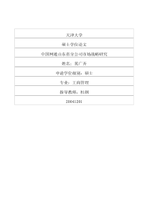 中国网通山东省分公司市场战略研究