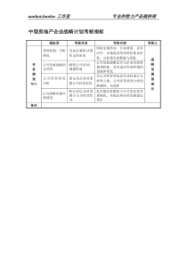 中型房地产企业战略计划考核指标