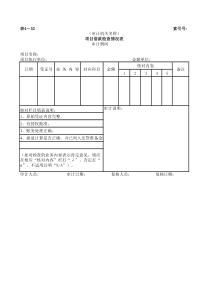 项目借款检查情况表