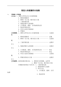 项目入市前操作计划表doc(1)