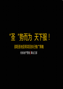 中海国信项目策略执行报告终411