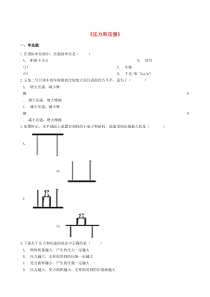 2020年中考物理复习《压力和压强》专题测试