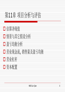 项目分析与评估