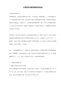 中联重科品牌战略规划轨迹(doc14)(1)