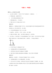 2020年中考物理 高频考点精解精练 专题02 声现象（含解析）