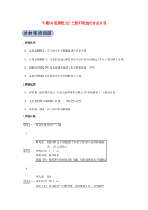 2020年高考生物实验突破 专题08 观察根尖分生组织细胞的有丝分裂（含解析）