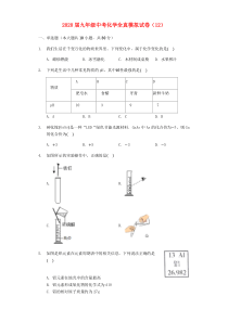 2020届九年级化学全真模拟试卷（12）（含解析）