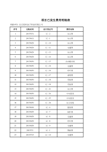 项目发生明细表