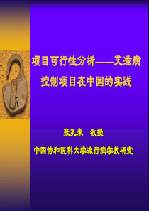 项目可行性分析__艾滋病控制项目在中国的实践