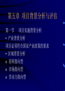 项目可行性评估第五、六章